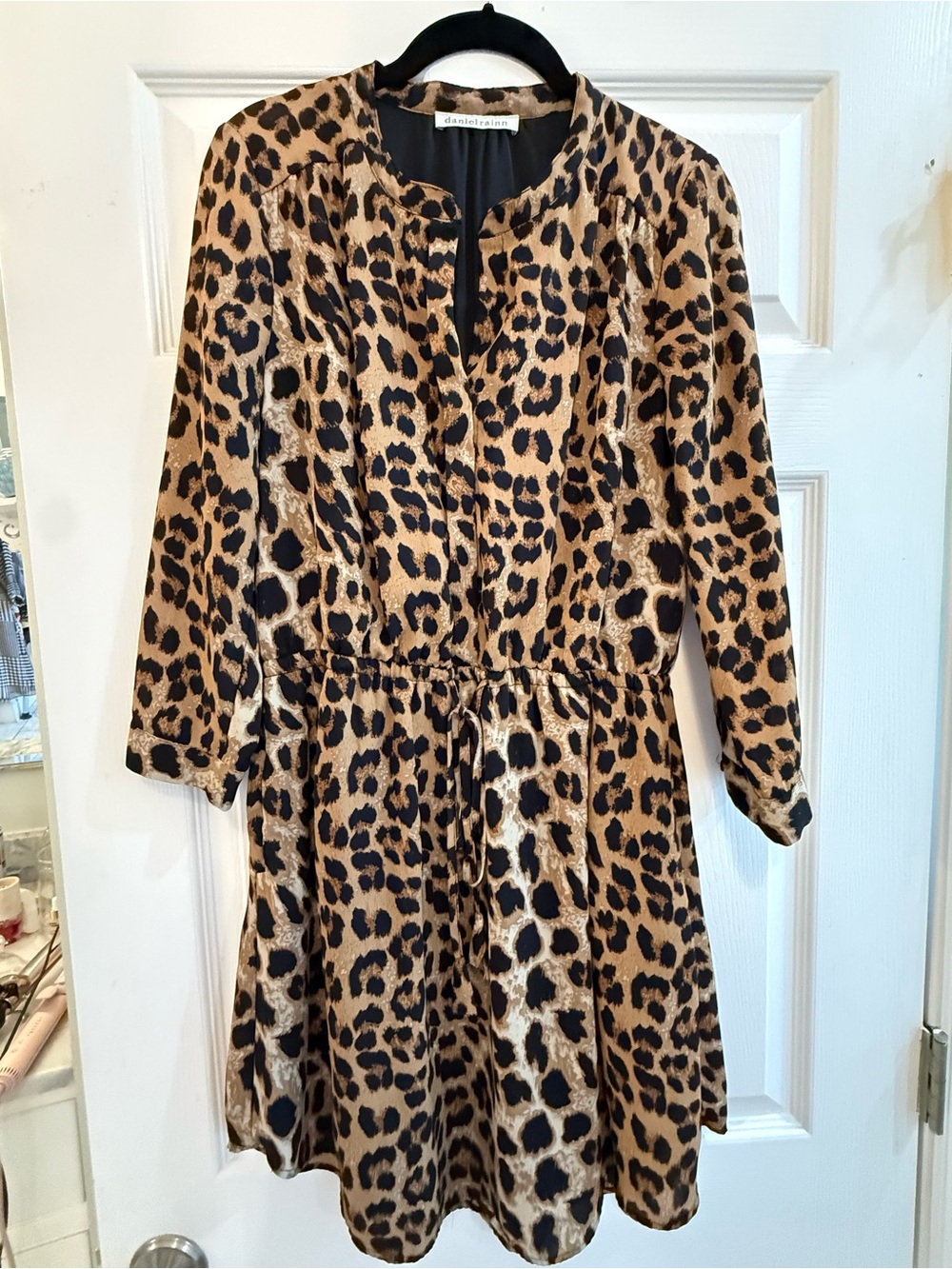 Daniel Rainn Leopard-Print Mini Dress in Tan and Black